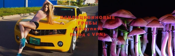 герыч Абинск