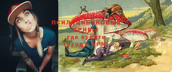 дурь Протвино