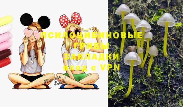 герыч Абинск