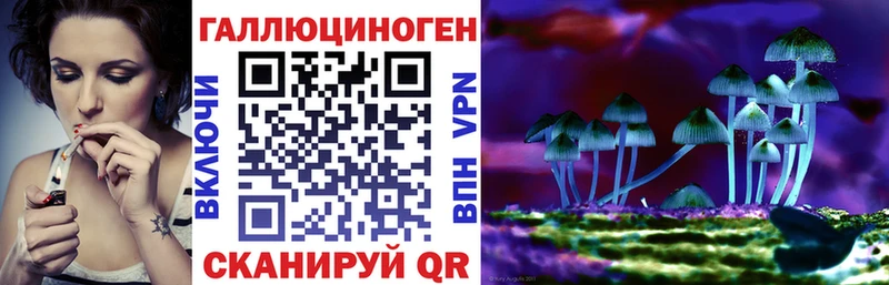 ОМГ ОМГ зеркало  как найти закладки  Болохово  Псилоцибиновые грибы GOLDEN TEACHER 